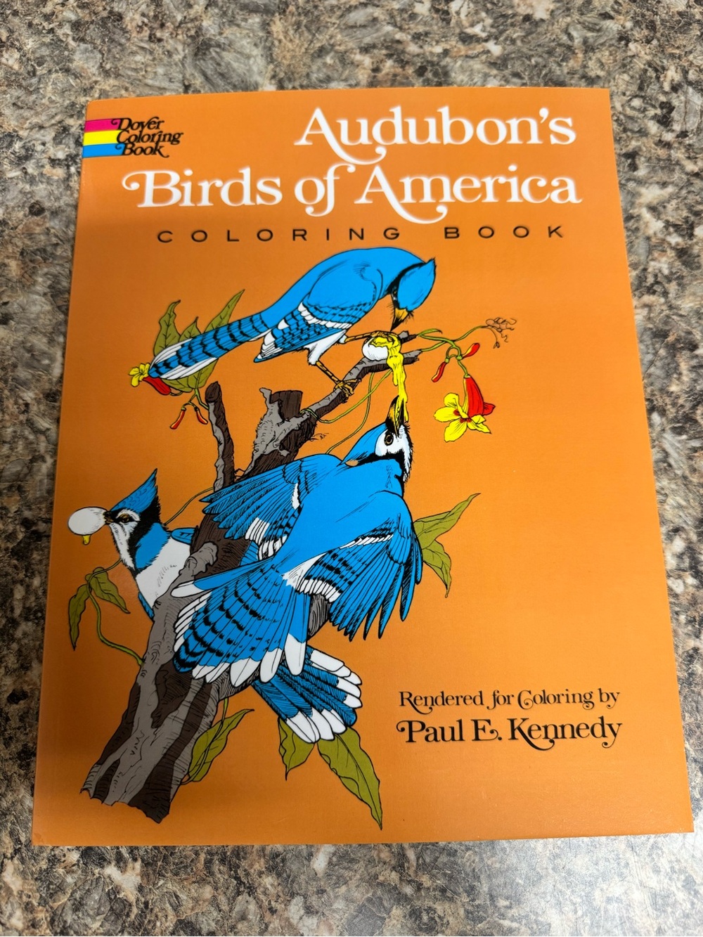 Birds of America Coloring Book